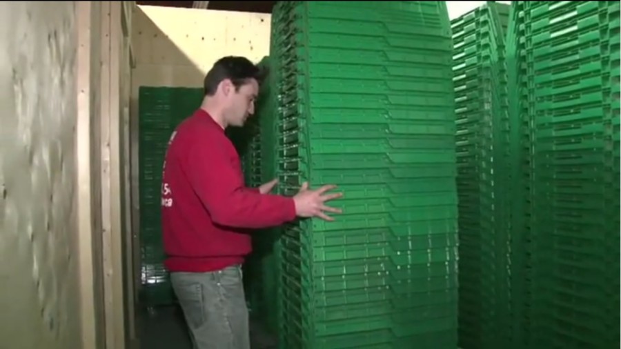 Plastic Moving Bins Toronto - Plastic Moving Boxes Toronto