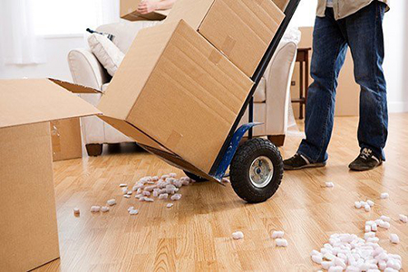 Best Toronto Movers